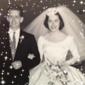 Meet your Posher, Anne